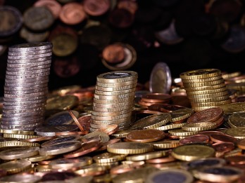 Financial advisor article illustration - What to do without Dividends